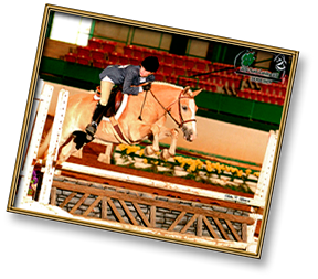 One of our equestrians mid-jump during a Show Jumping competition Competitive Show Jumping at McLendon Hills